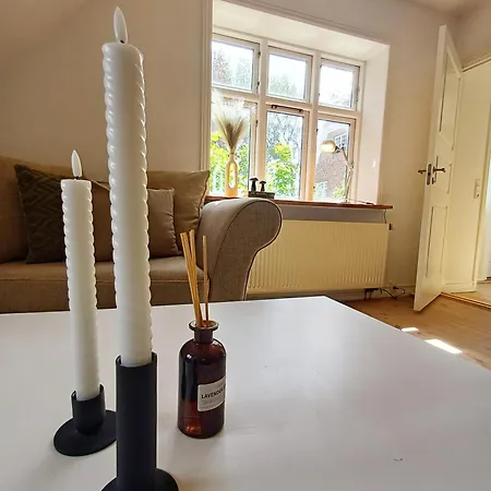 Apartment Grand Luxury In The Center Of Hoerring *