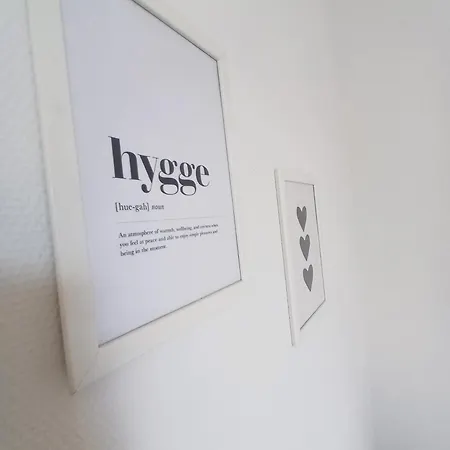 公寓 Grand Luxury In The Center Of Hjoerring 约灵