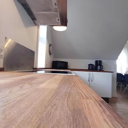 Apartment Grand Luxury In The Center Of Hoerring Hjorring