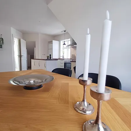Grand Luxury In The Center Of Hoerring * Hjorring