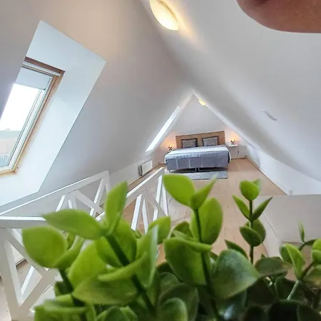 Grand Luxury In The Center Of Hoerring Apartment