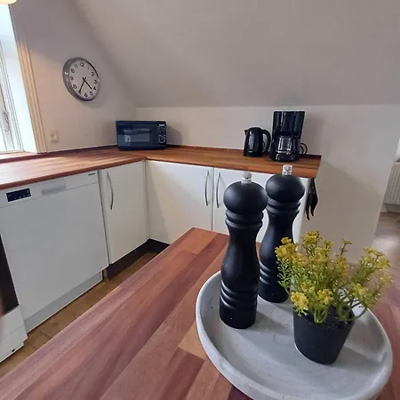 Daire Grand Luxury In The Center Of Hjoerring *